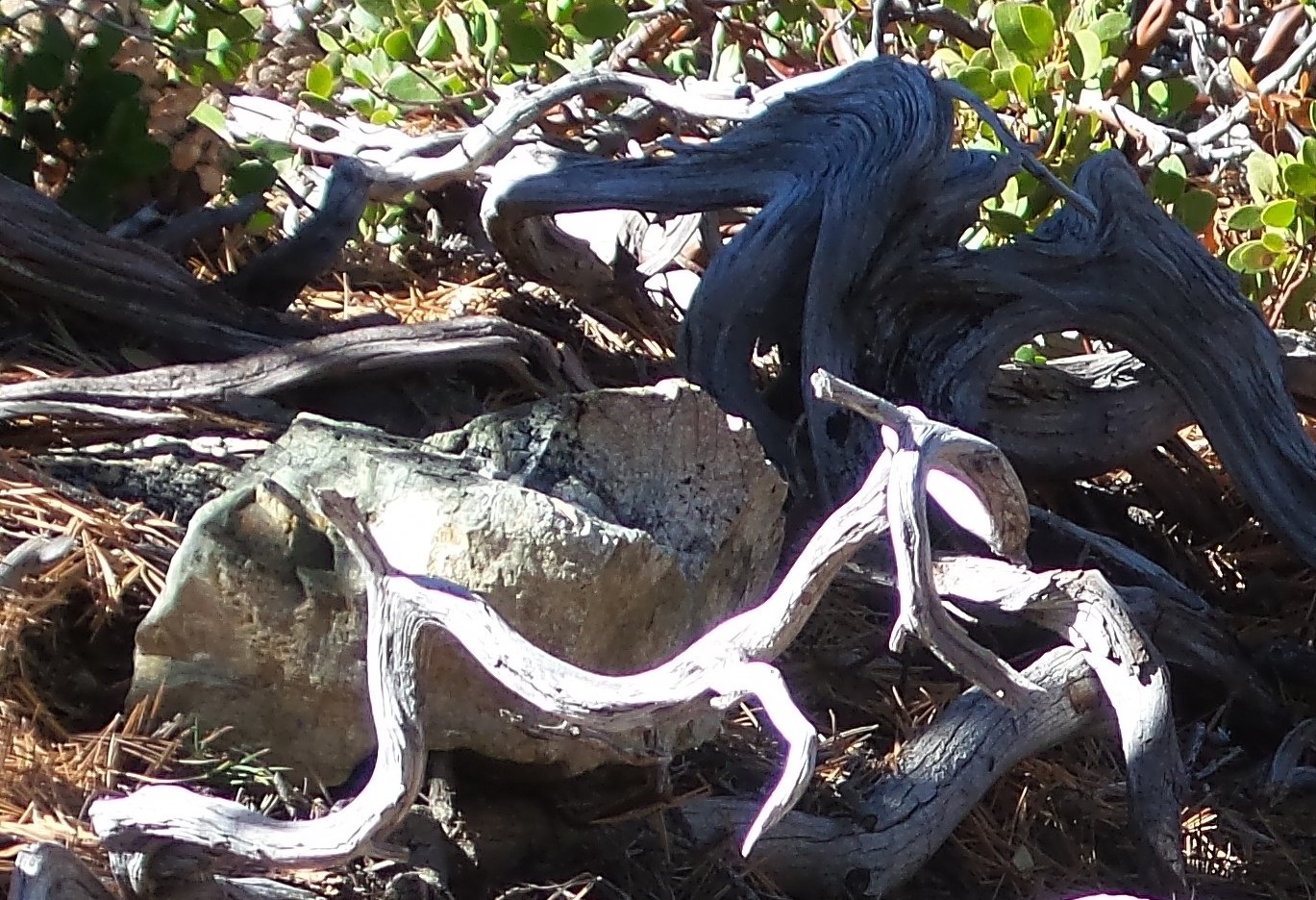 20161113_115247.jpg