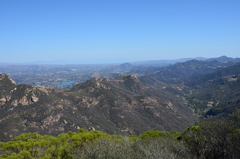 DSC_1164.JPG