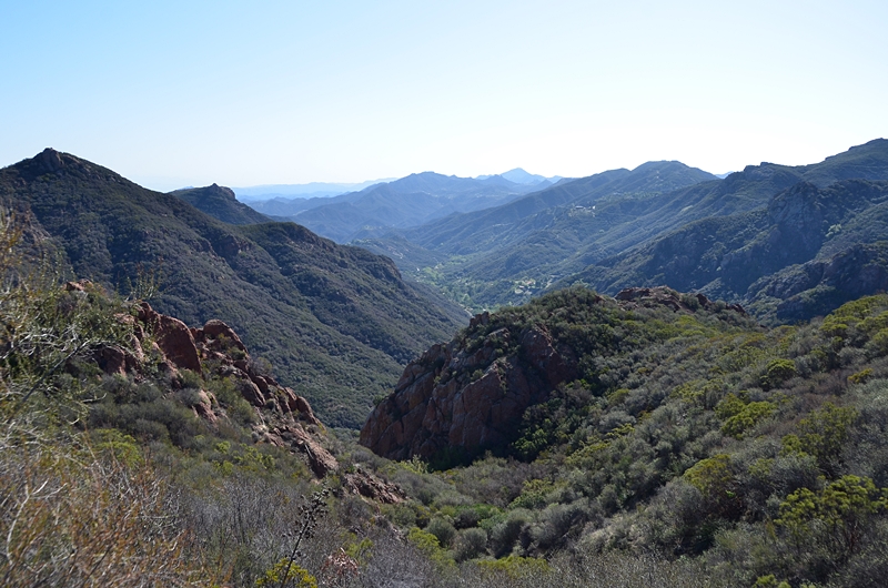 DSC_0982.JPG