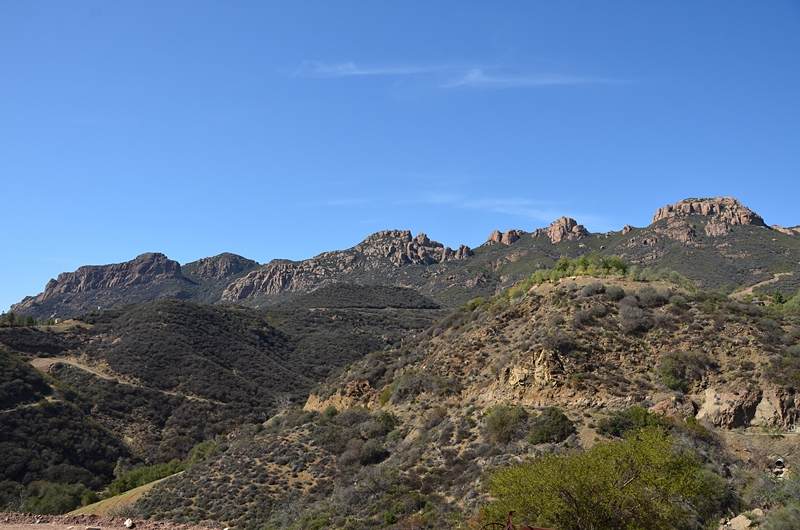 DSC_1178.JPG