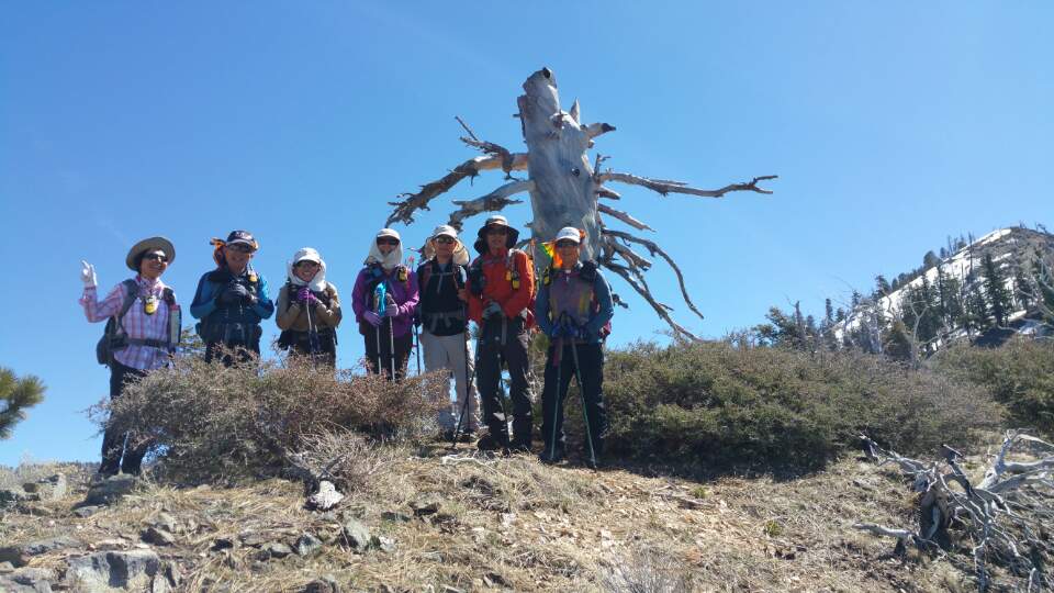 KakaoTalk_20170402_183557978.jpg