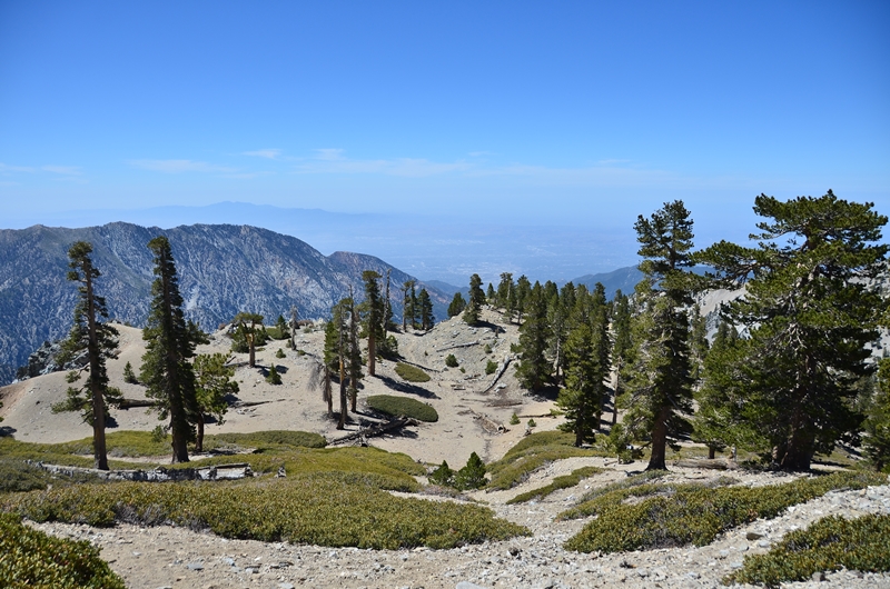DSC_4213.JPG