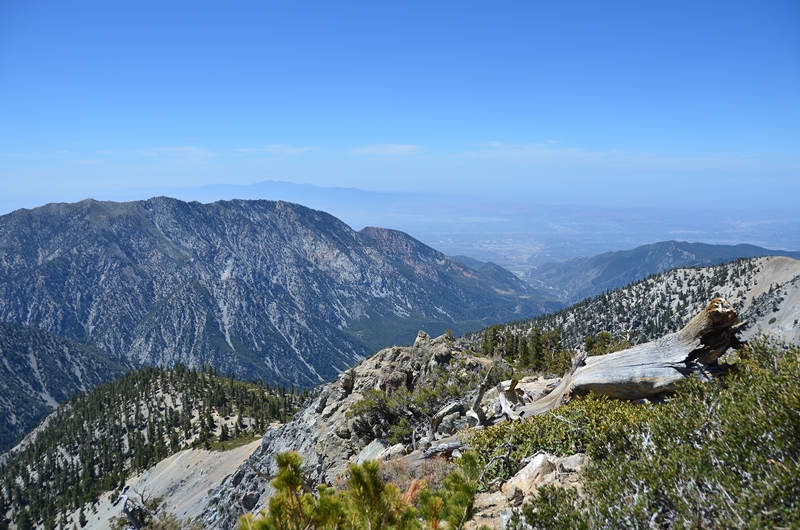 DSC_4208.JPG