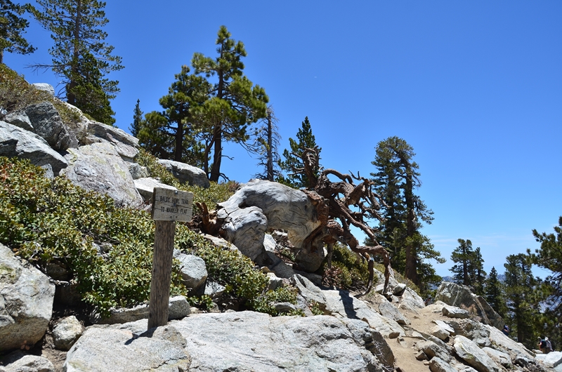 DSC_4257.JPG