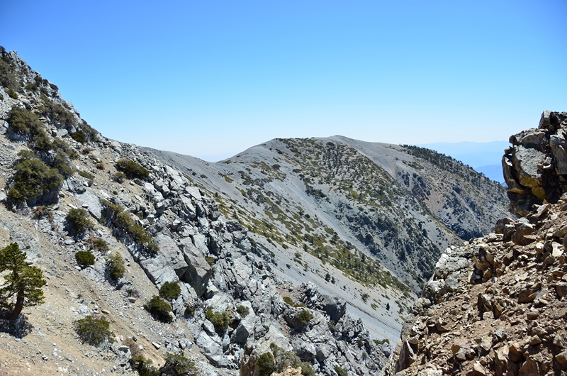 DSC_4197.JPG