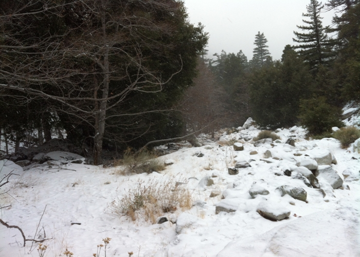 Mt. Timber 034.jpg