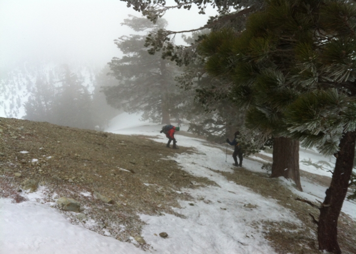 Mt. Timber 031.jpg