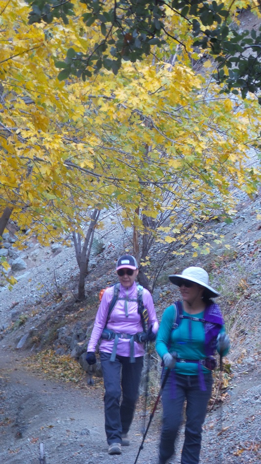 20181021_082958.jpg