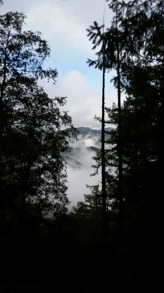 KakaoTalk_20161127_182923888.jpg