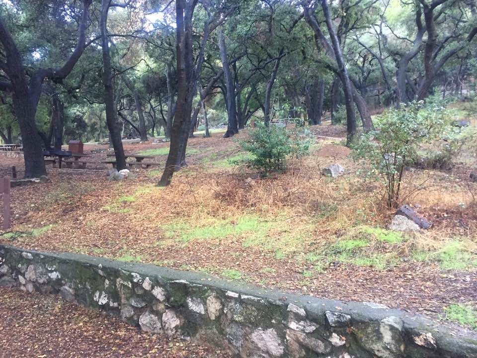 KakaoTalk_20161127_161200681.jpg