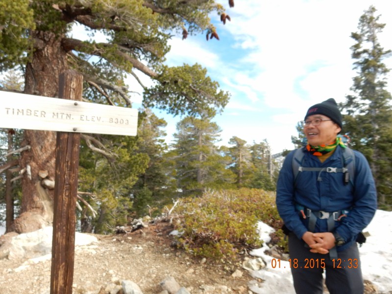 timber mt 012 (800x600).jpg