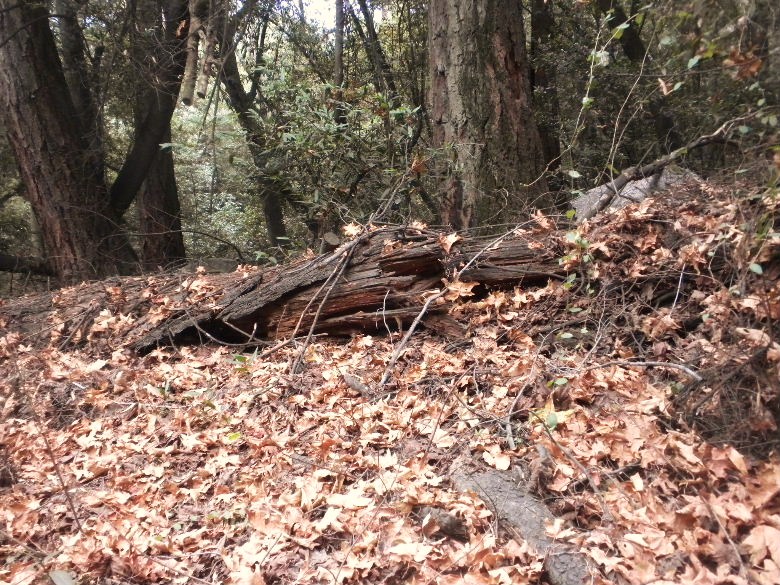 mtwilson9912 052.JPG