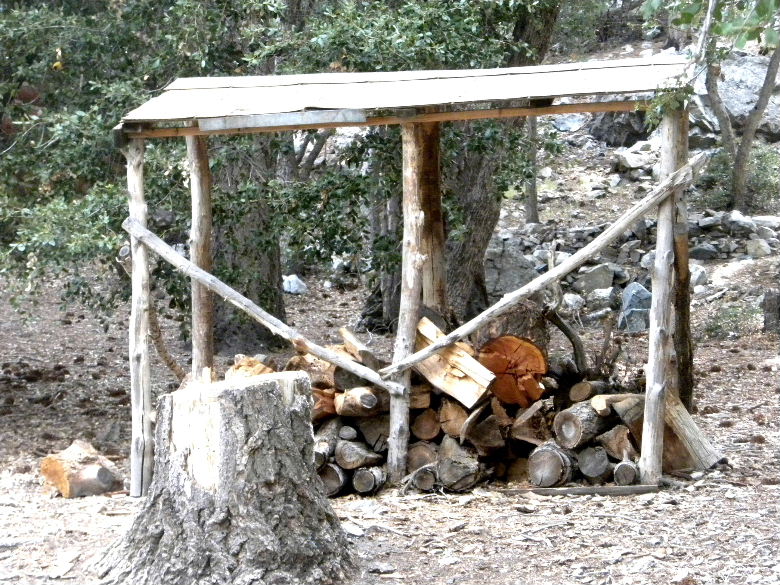 timber5513 024.JPG
