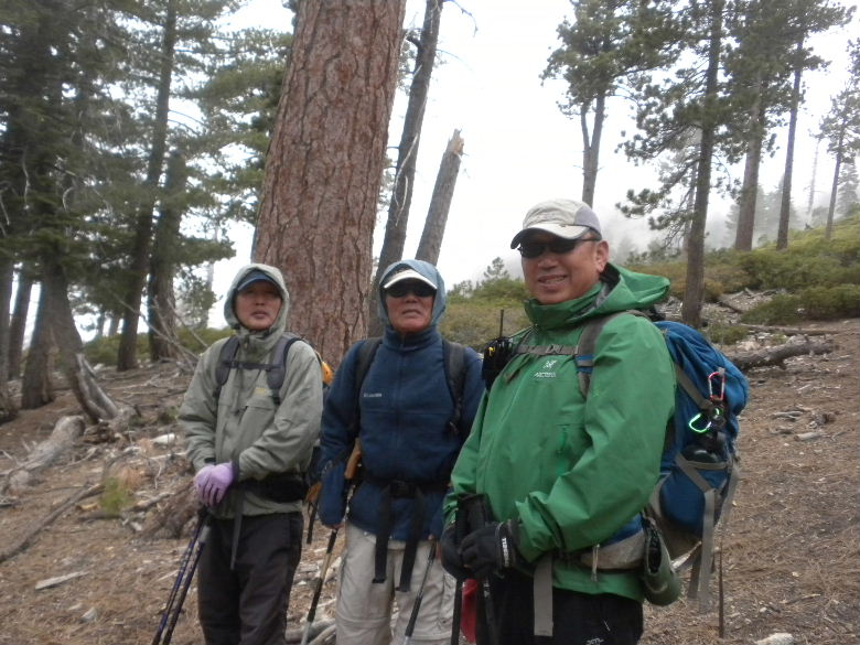 timber5513 089.JPG