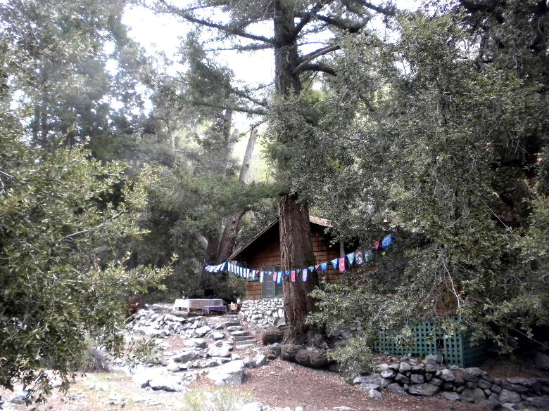timber5513 015.JPG