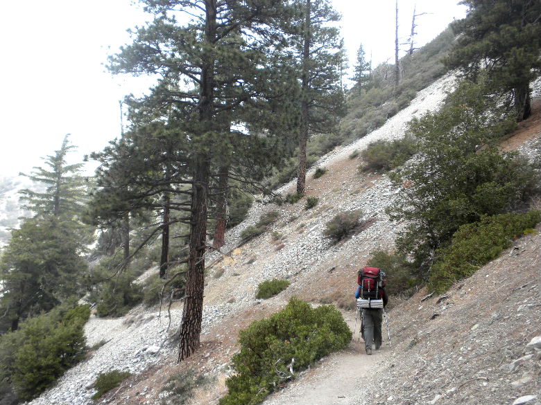 timber5513 039.JPG