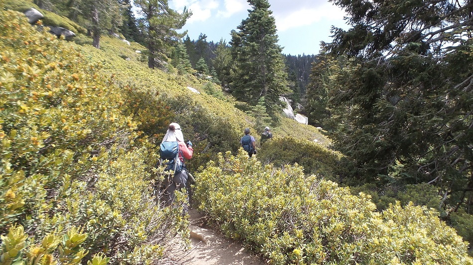 20170723_150524.jpg