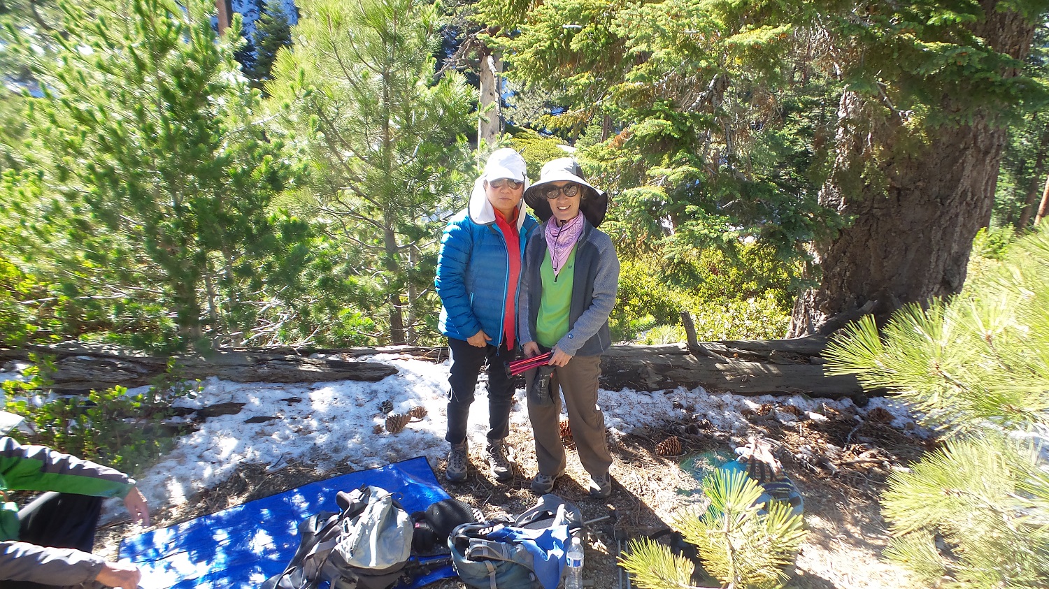20161204_124714.jpg