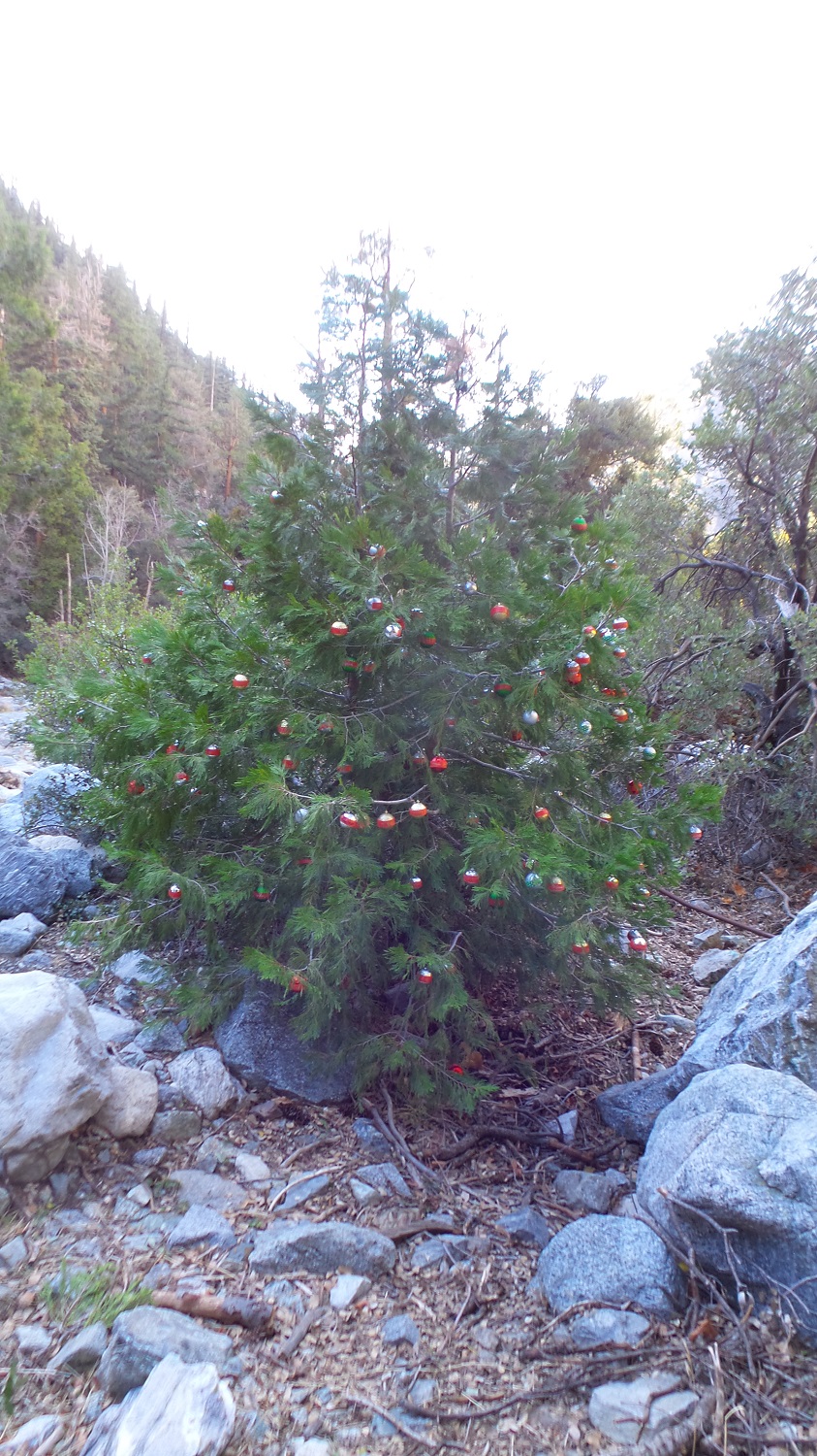 20161204_151358.jpg