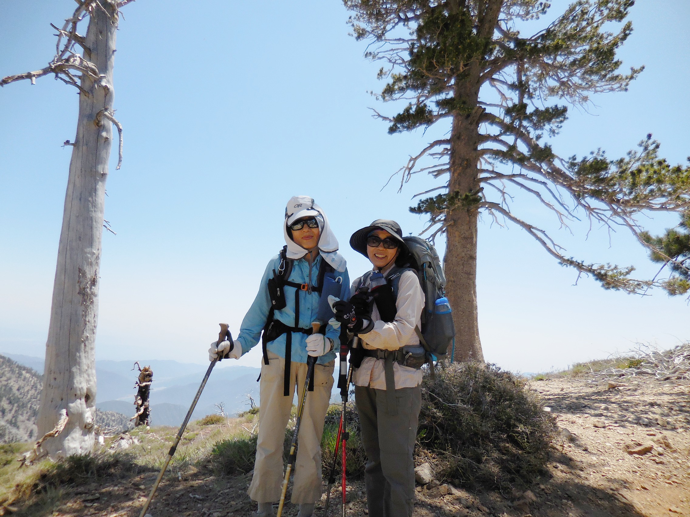 Mt.Throop 011.JPG