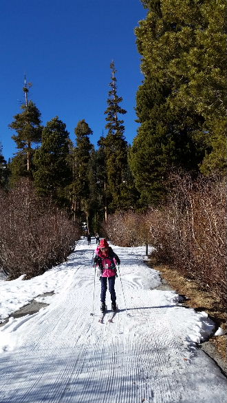 mammothski12015 014.jpg