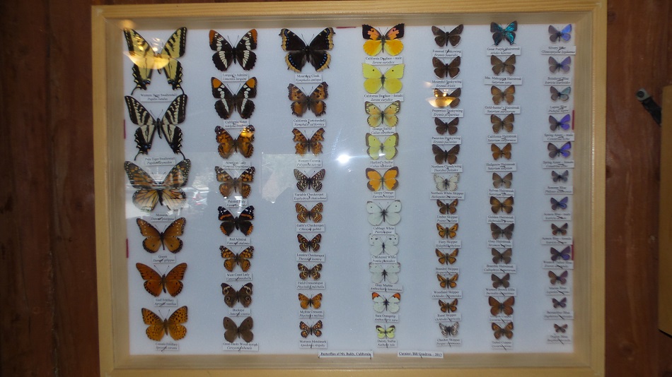 D1 (1).jpg