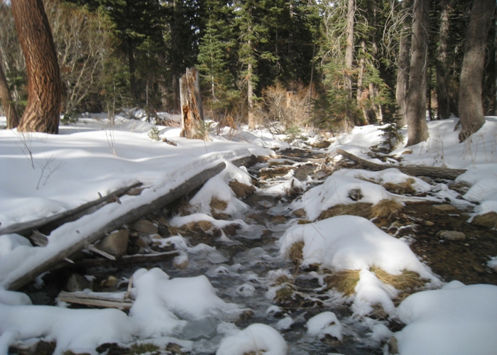 dollar lake 024.jpg