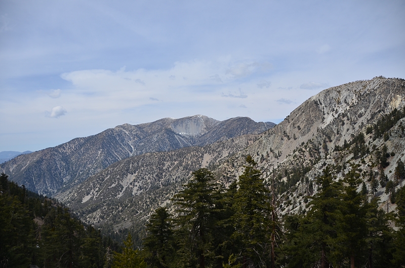 DSC_1400.JPG