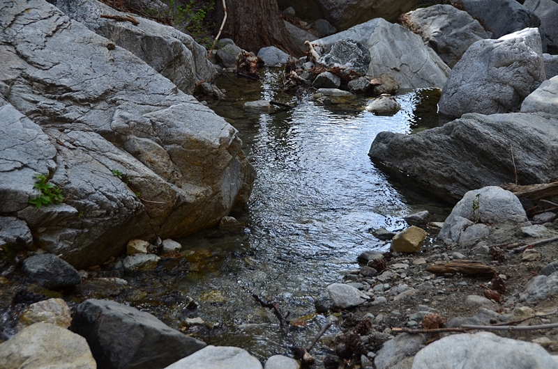DSC_1533.JPG
