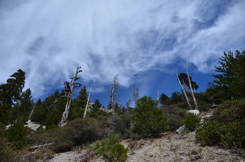 DSC_1498.JPG