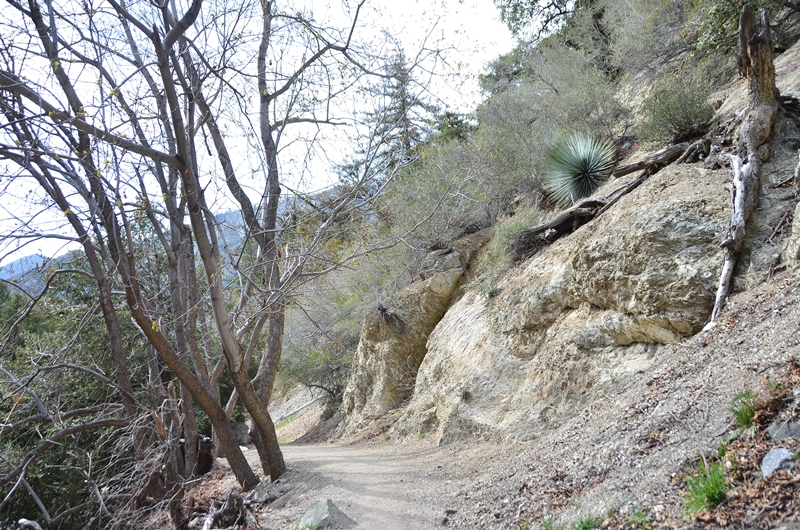 DSC_1550.JPG