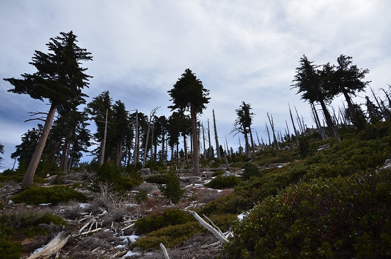 DSC_1463.JPG
