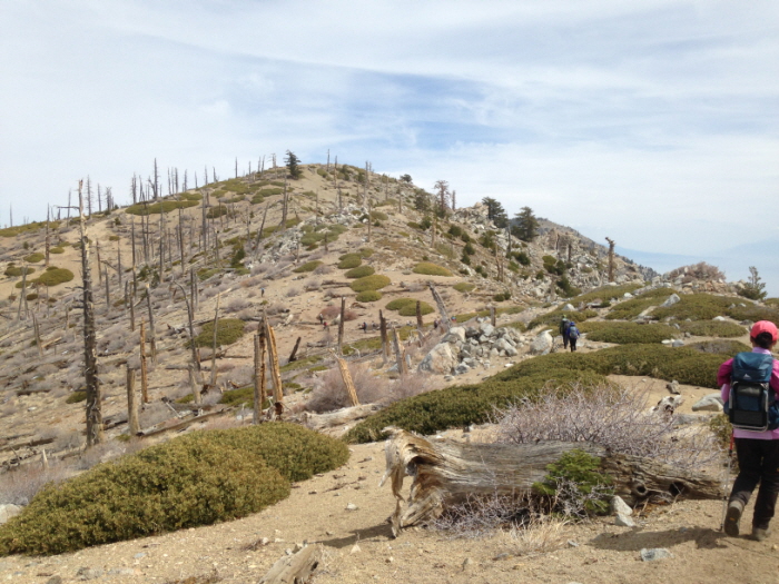 Ontario Peak 020.jpg