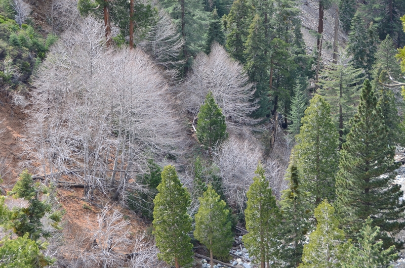 DSC_1338.JPG