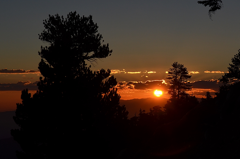 DSC_0026.JPG