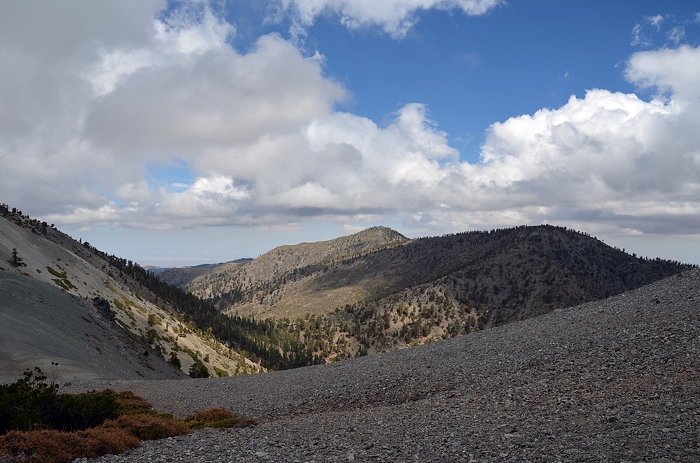 DSC_0215.JPG
