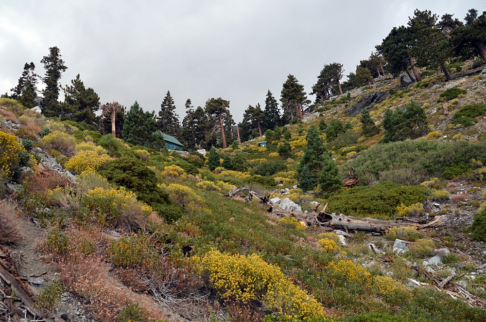 DSC_0296.JPG