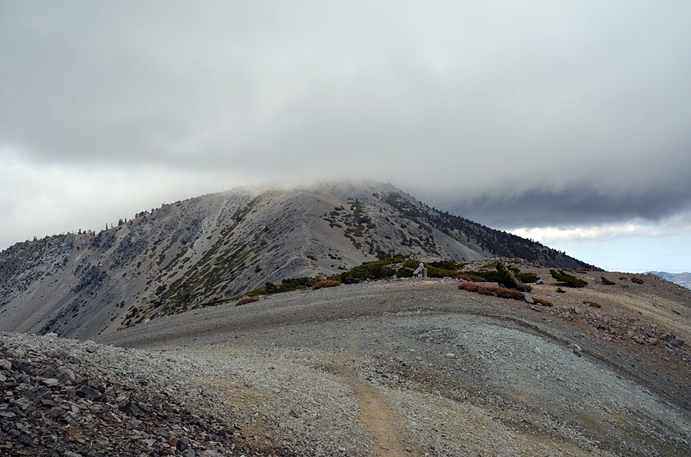 DSC_0201.JPG