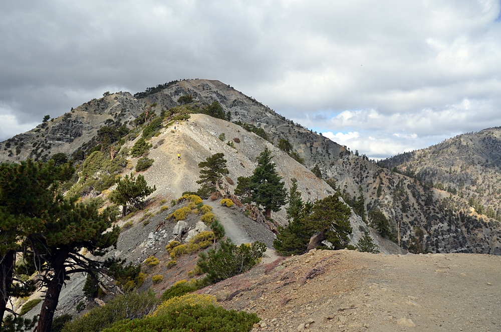 DSC_0141.JPG