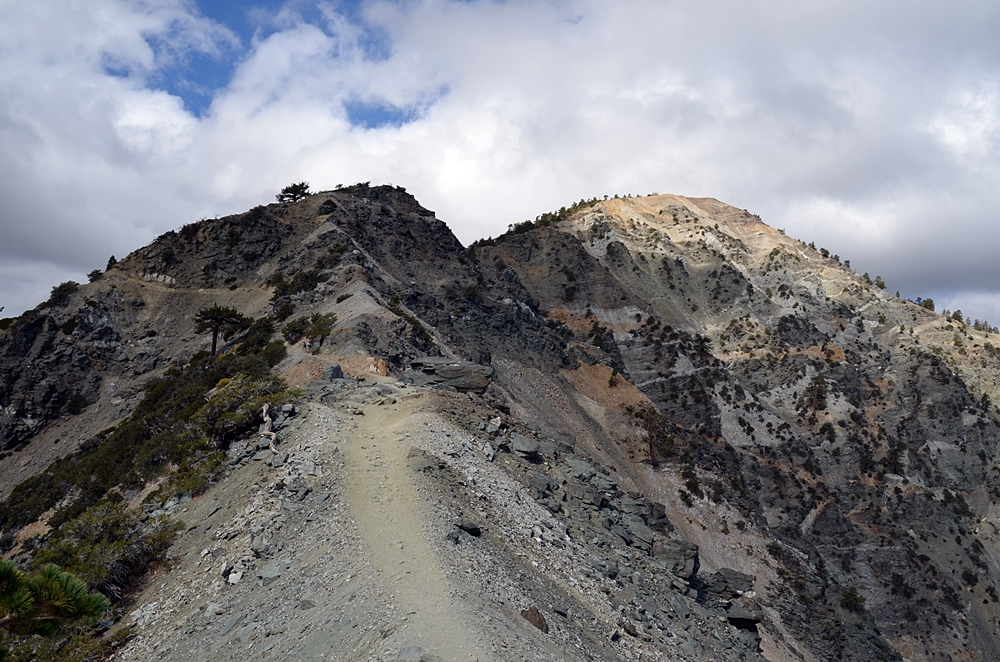 DSC_0155.JPG