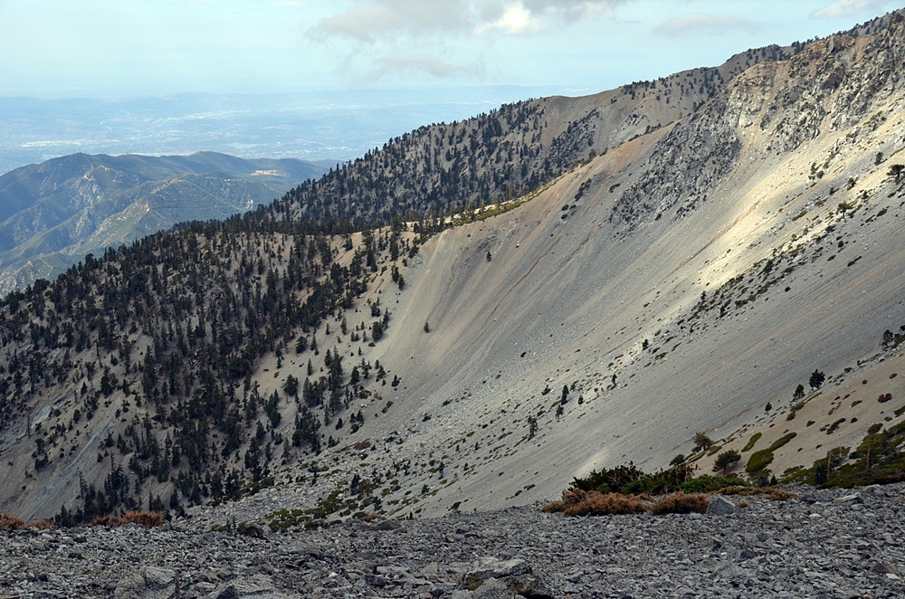 DSC_0210.JPG