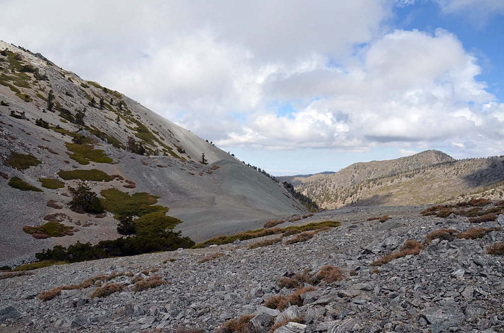 DSC_0218.JPG