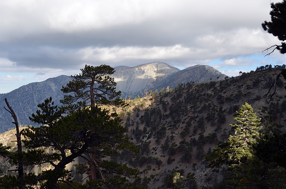 DSC_0094.JPG