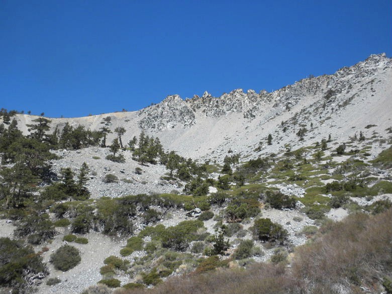 baldy060322 023.JPG