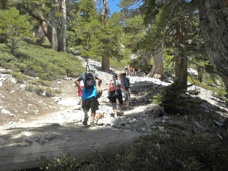 baldy060322 035.JPG