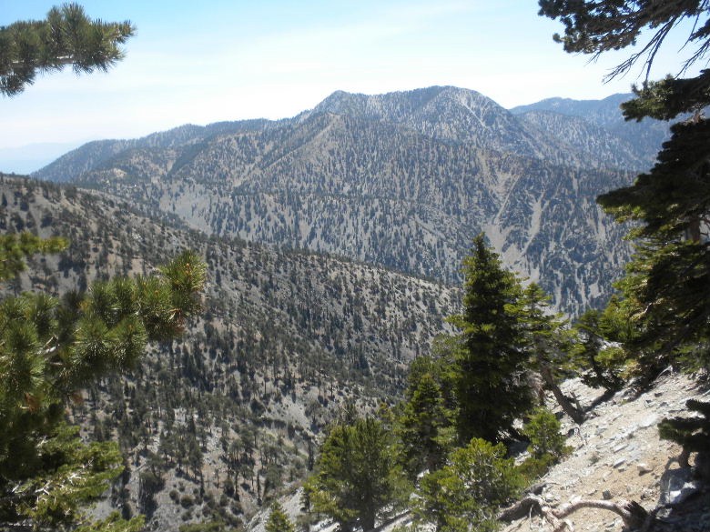 baldy060322 032.JPG