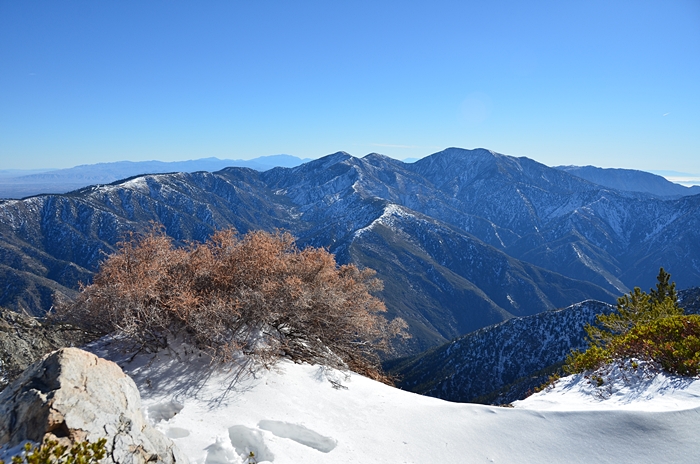 DSC_8793.JPG