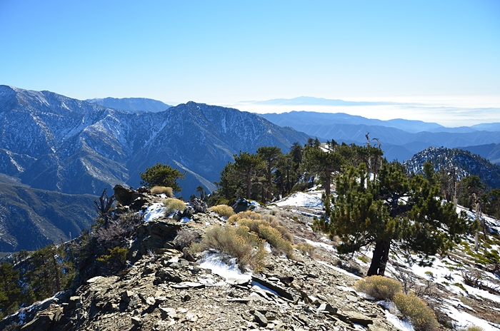 DSC_8862.JPG