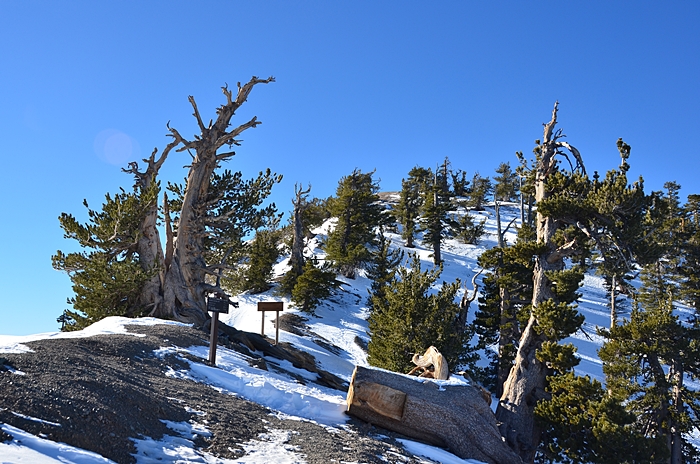 DSC_8753.JPG
