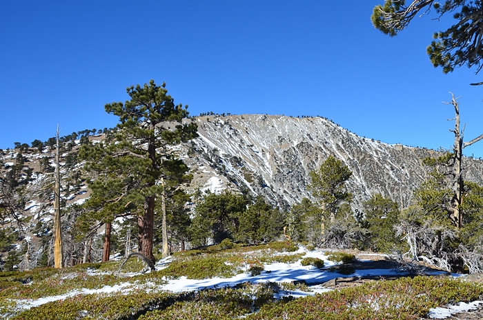 DSC_8877.JPG